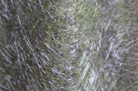 North Boarhunt fibreglass roof work